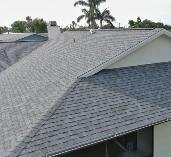Gray architectural shingles on a beige stucco Wesley Chapel home with palm trees