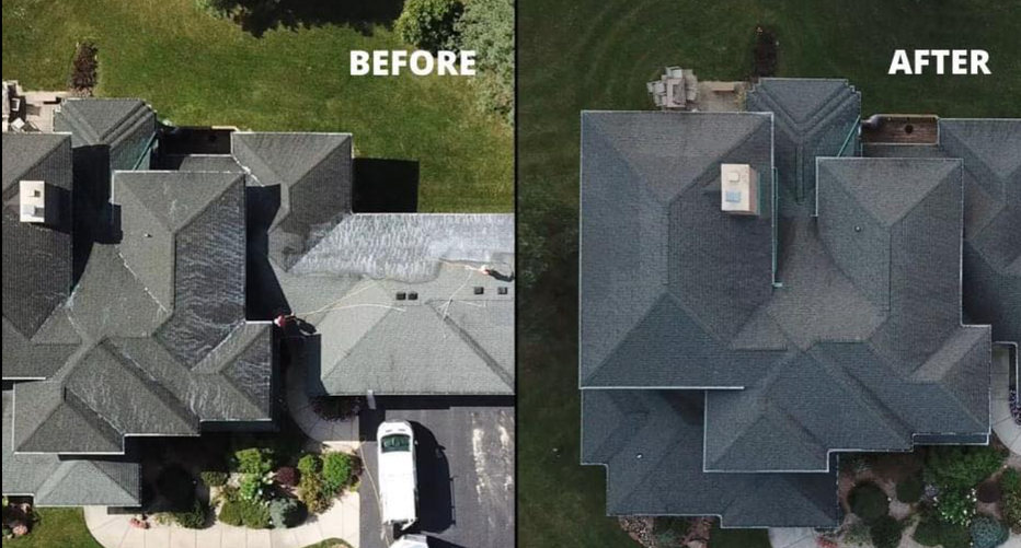 Soy-oil rejuvenation before and after on an asphalt shingle roof in Tampa Bay